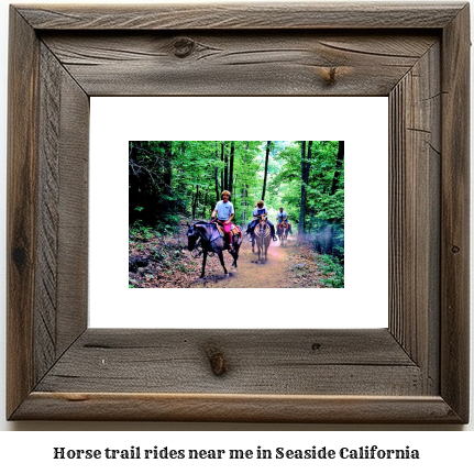 horse trail rides near me in Seaside, California